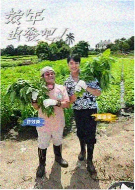 返乡青年 乡村微短剧 农村影视内容海报